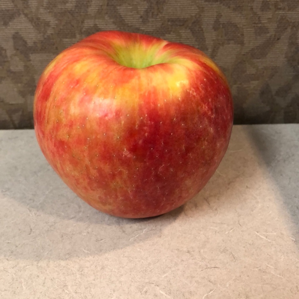 Meet your Posher, Sha